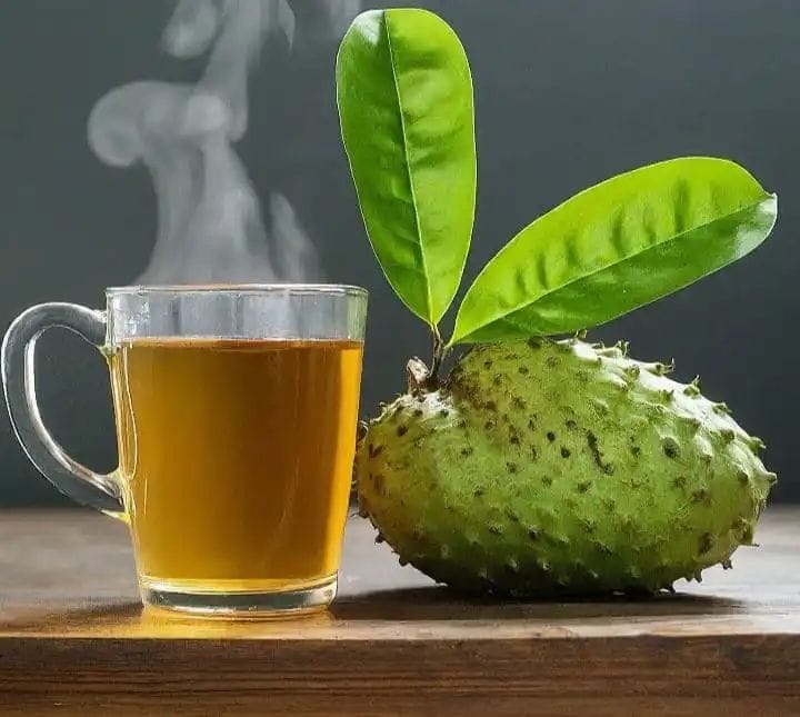 Soursop Leaf Infusion